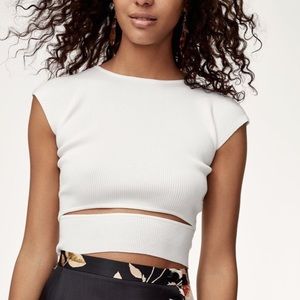 Aritzia Wilfred crop top